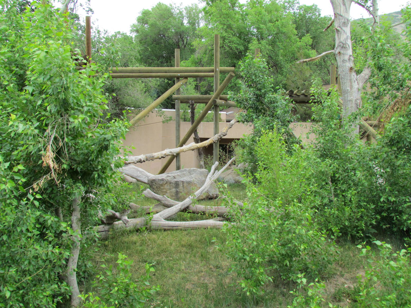 Great Ape House - Western Gorilla Exhibit
