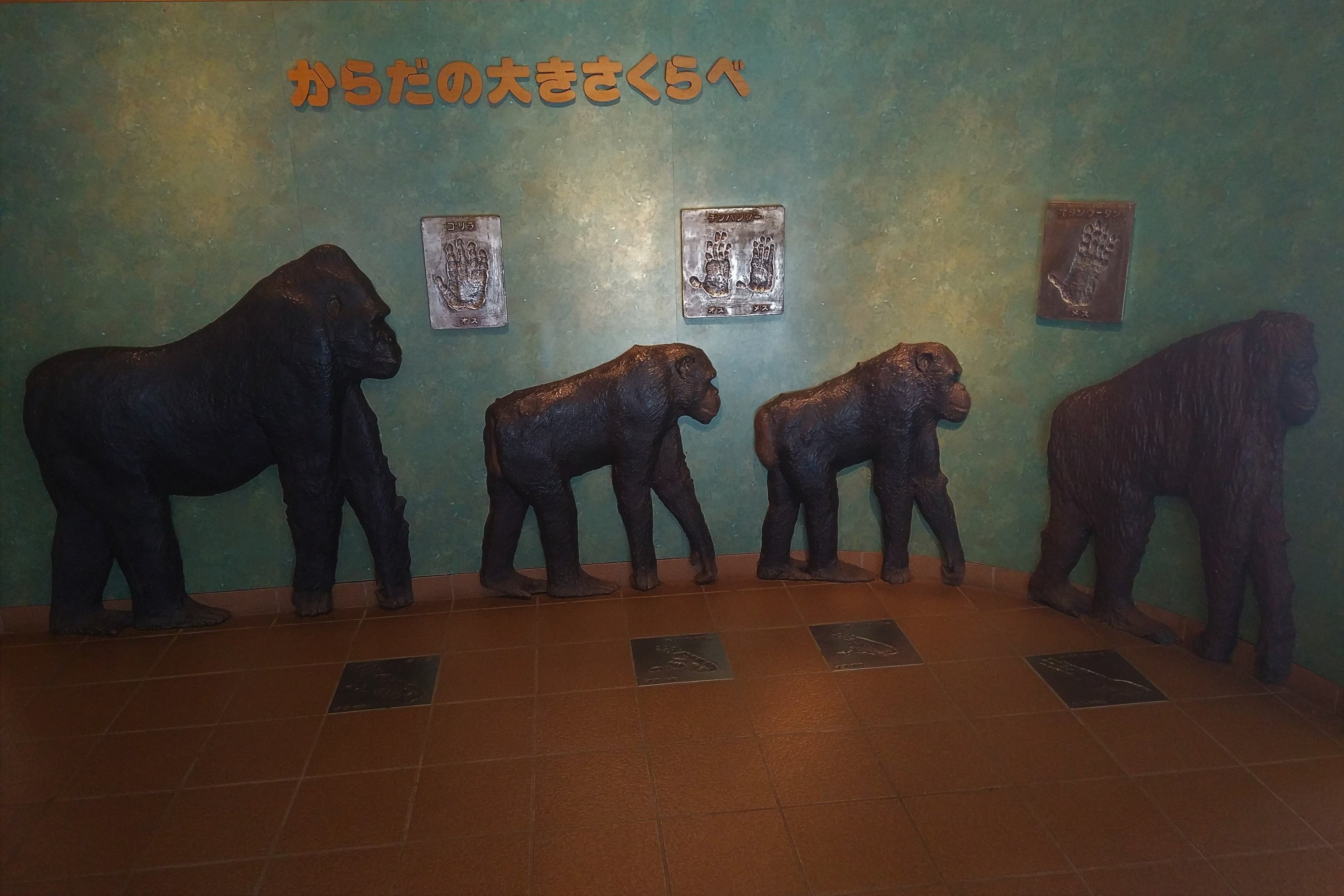 Great Ape Interpretation