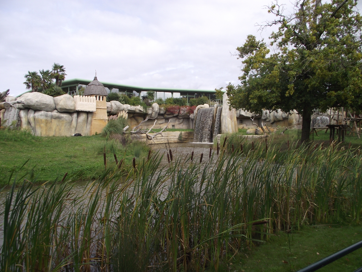 Great Ape Outdoor Islands #1