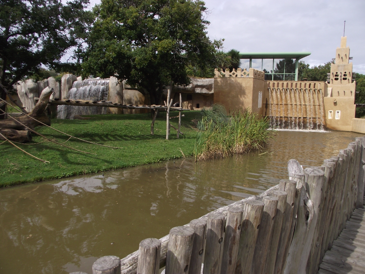 Great Ape Outdoor Islands #3