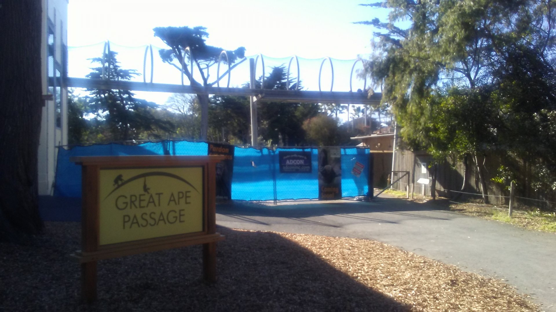 Great Ape Passage construction