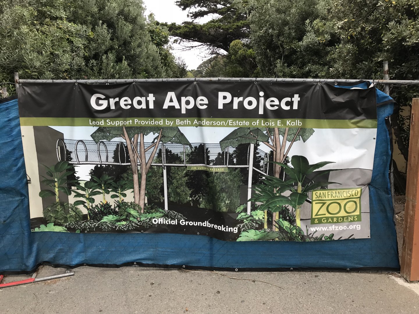 Great Ape Project