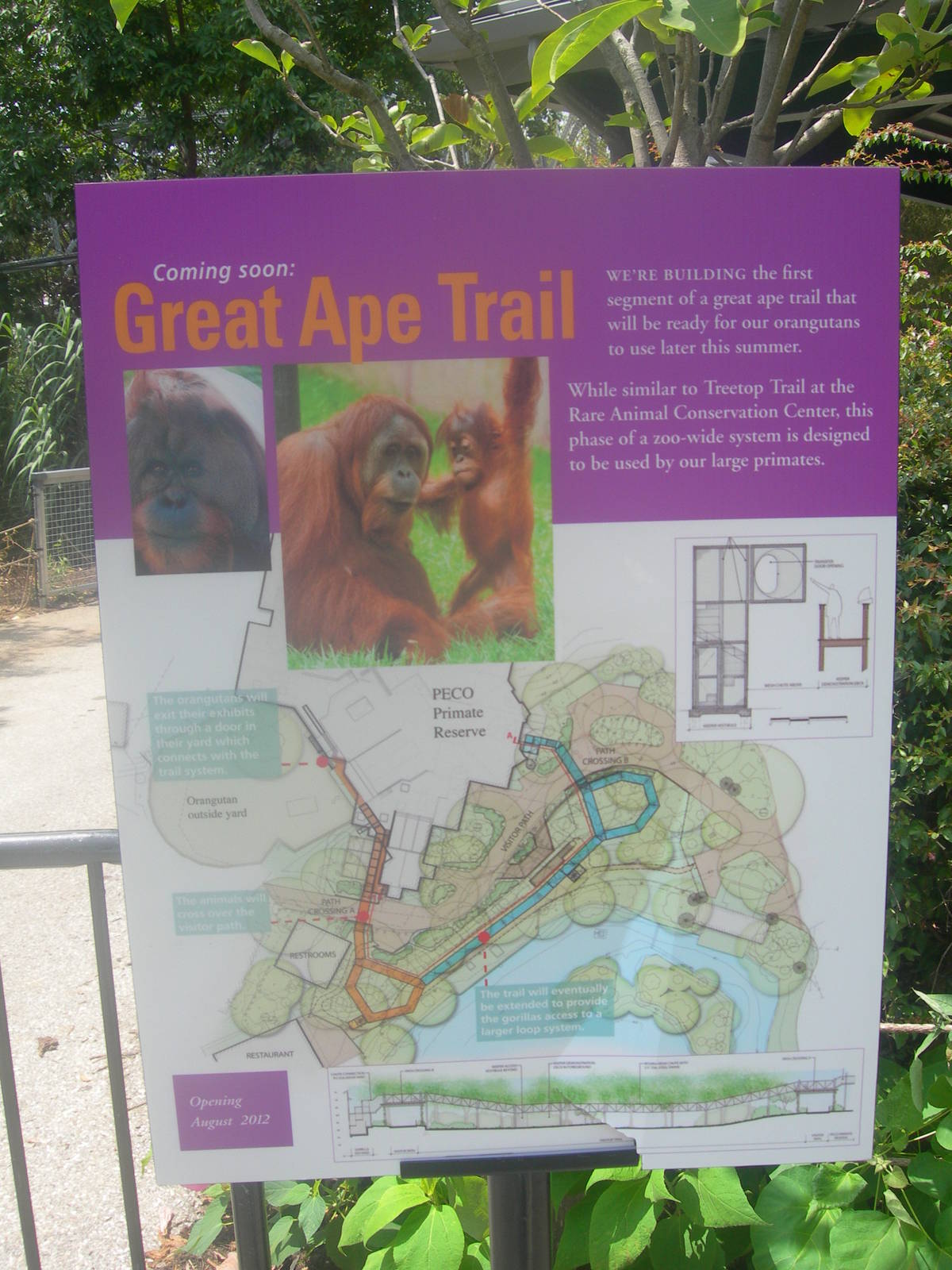 Great Ape Trail Sign
