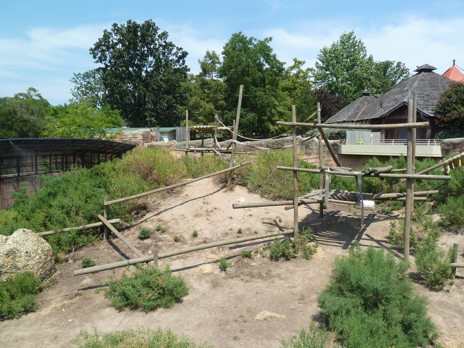 Great Apes - Chimpanzee Exhibit