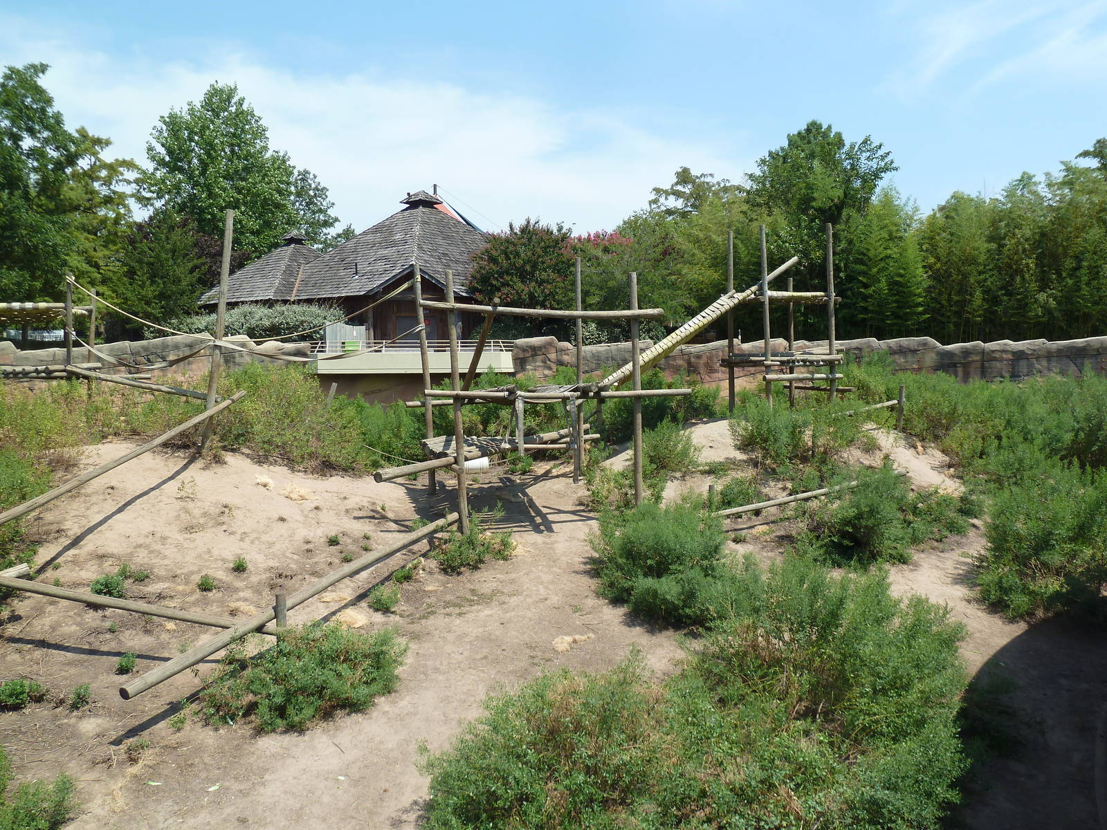 Great Apes - Chimpanzee Exhibit