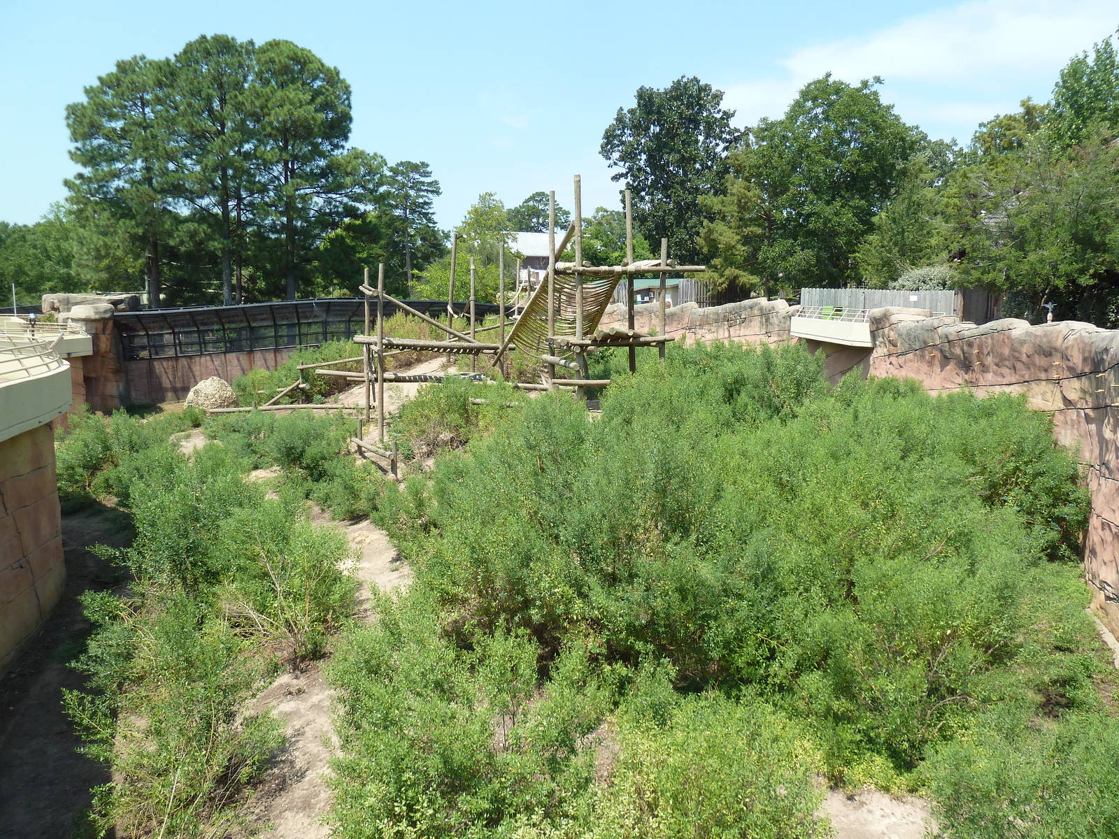 Great Apes - Chimpanzee Exhibit