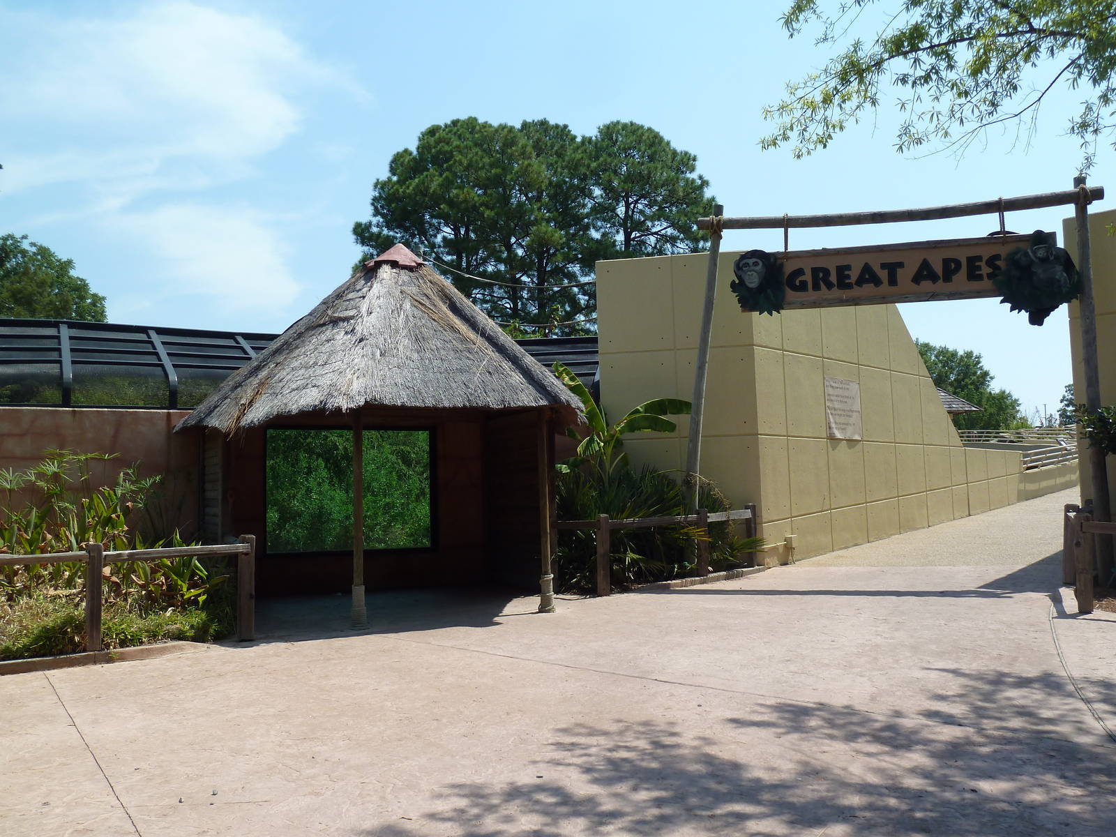 Great Apes - Entrance Area