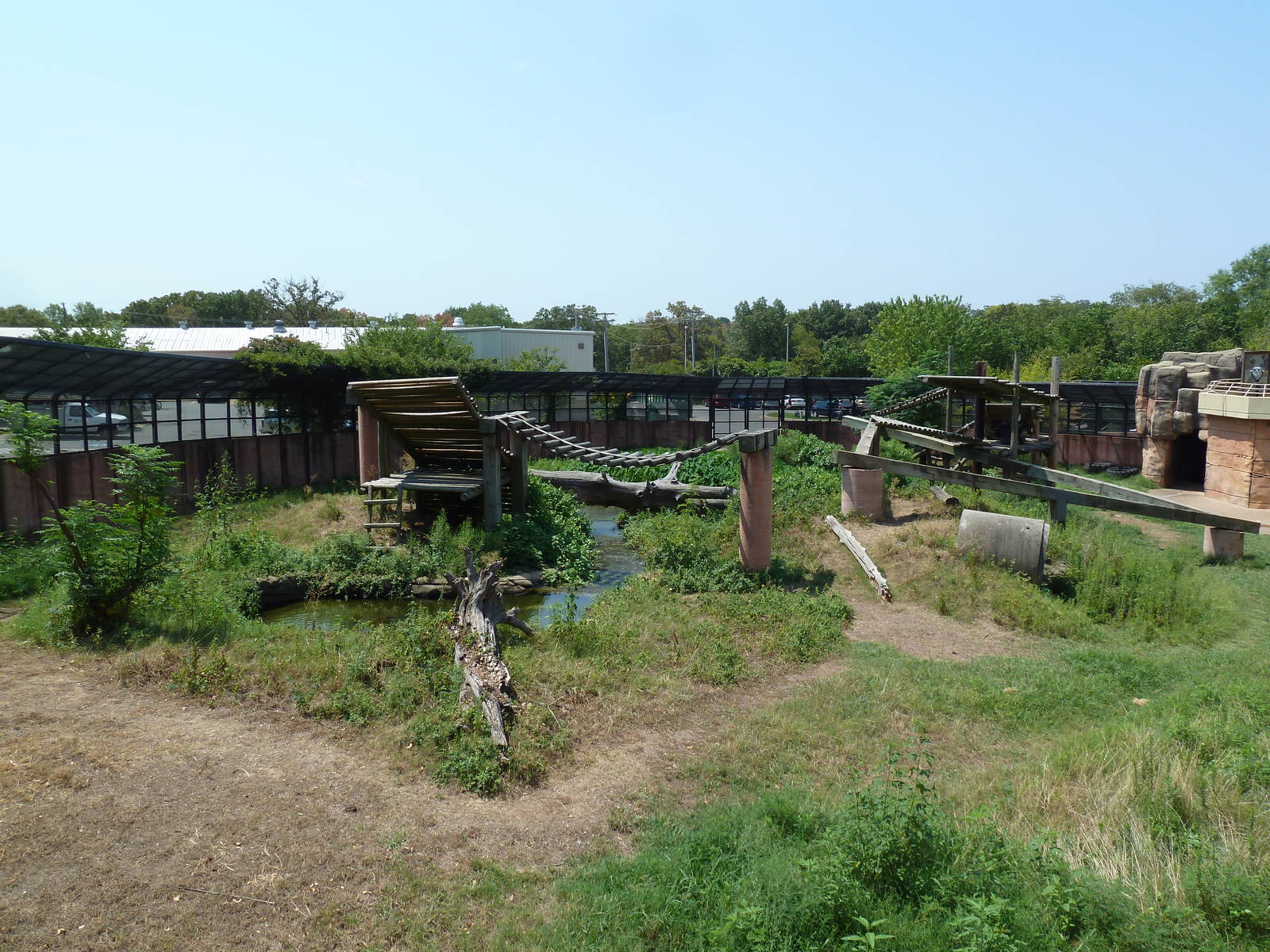 Great Apes - Gorilla Exhibit #2