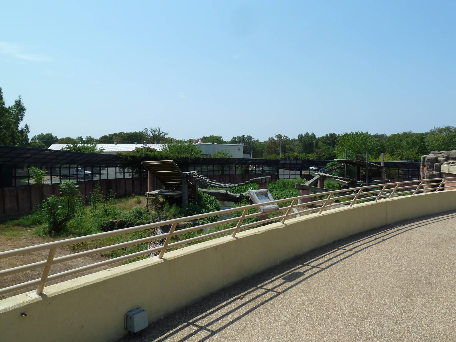 Great Apes - Gorilla Exhibit #2