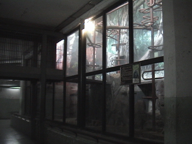 Great Apes Indoor Enclosure