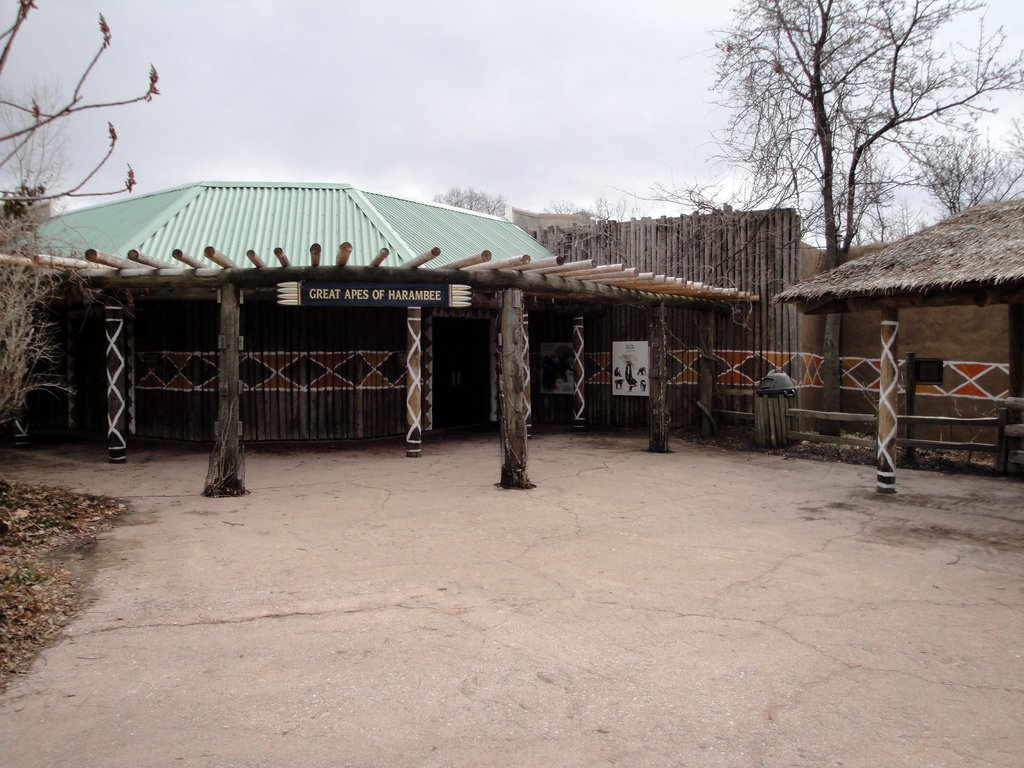Great Apes of Harambee - Building