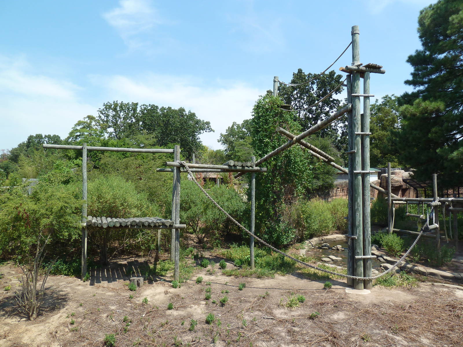 Great Apes - Orangutan Exhibit