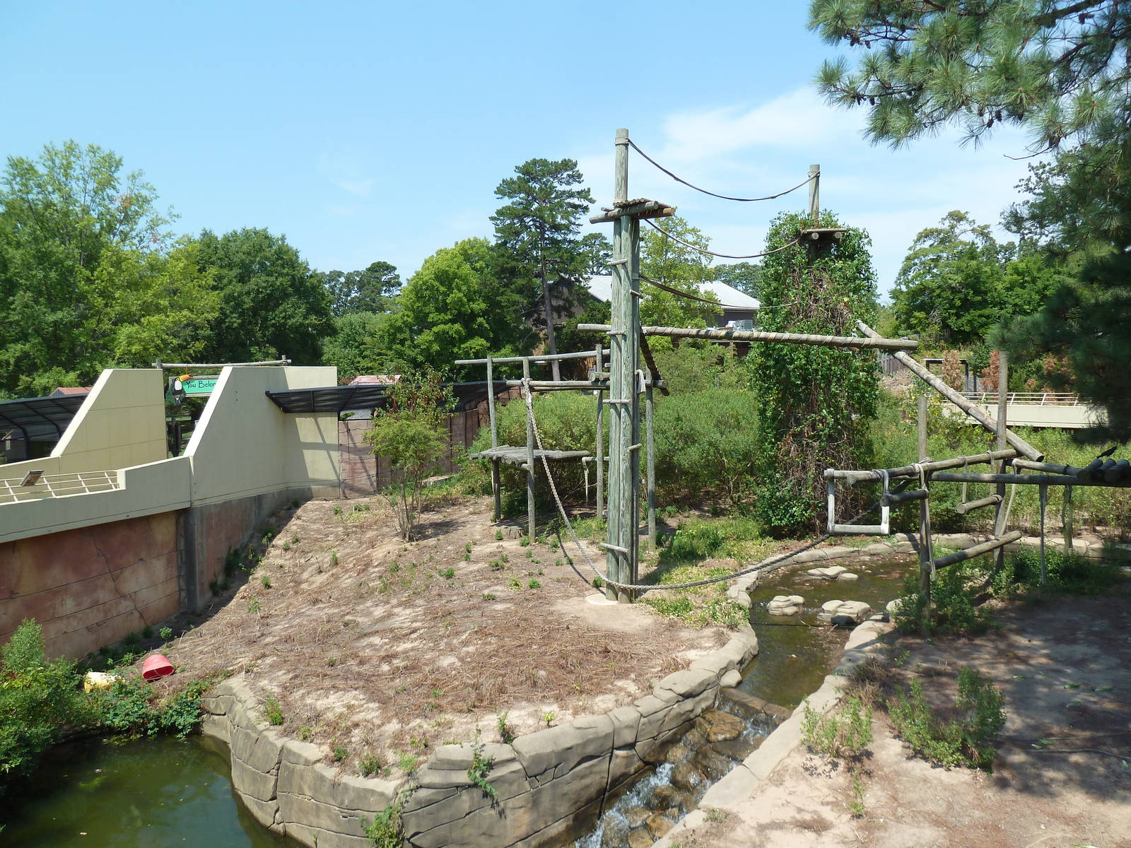 Great Apes - Orangutan Exhibit