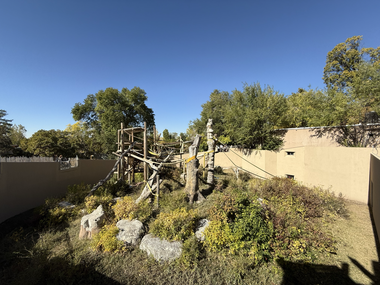 Great Apes - Orangutan Outdoor