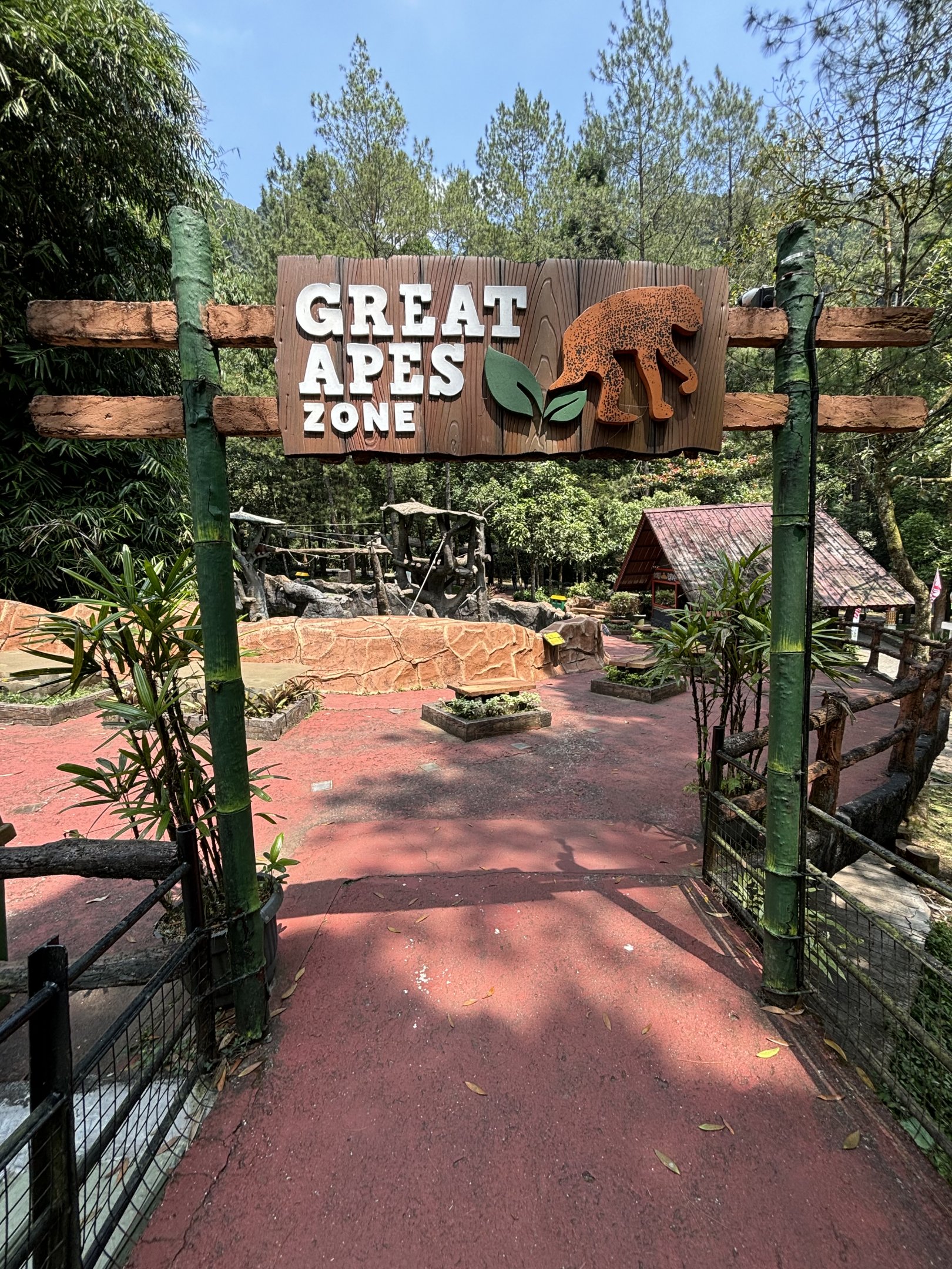Great Apes Zone - 3 species