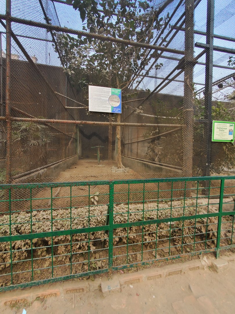 Great Argus Exhibit - January 2023