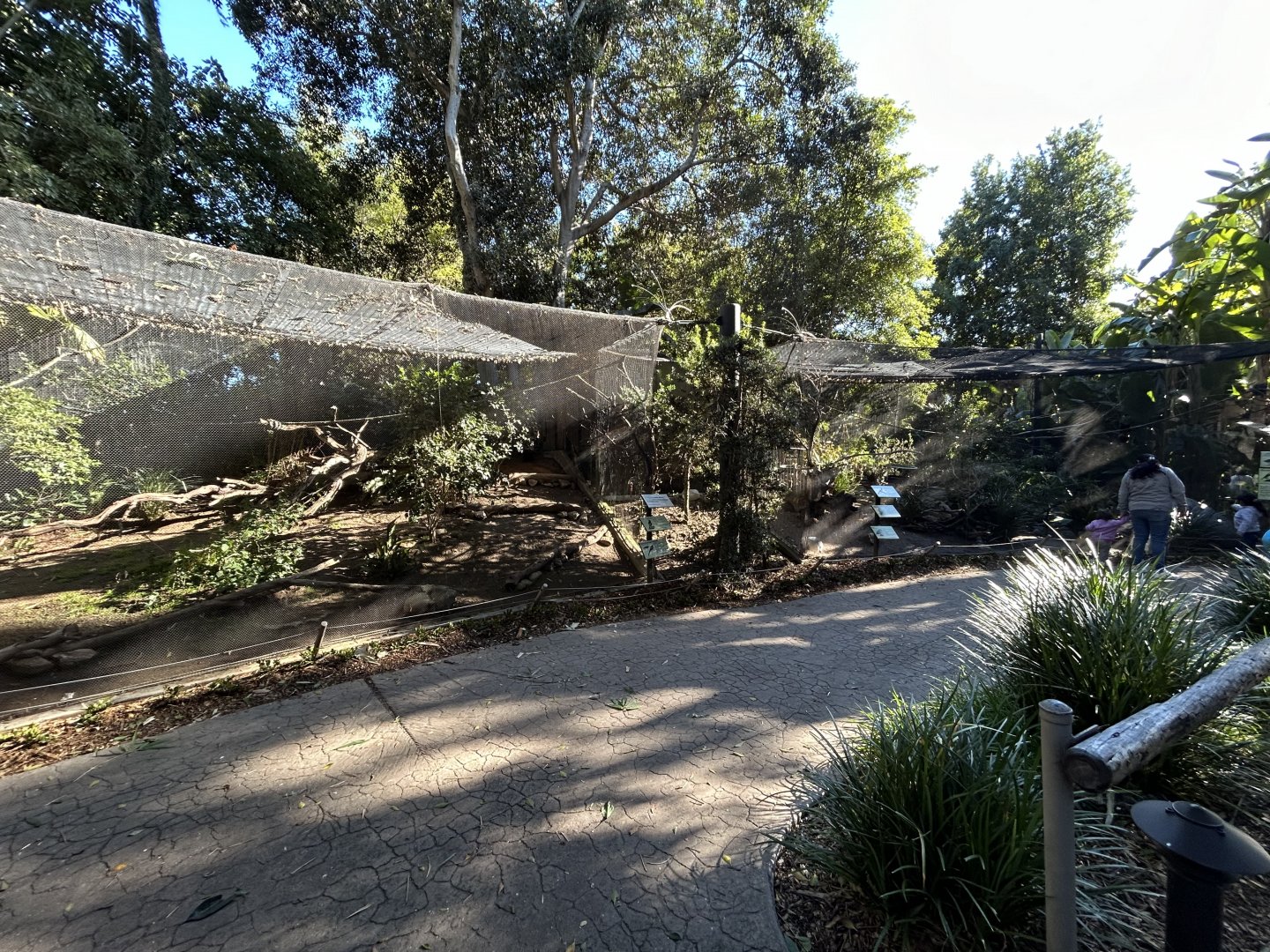 Great Argus & Kagu Aviaries