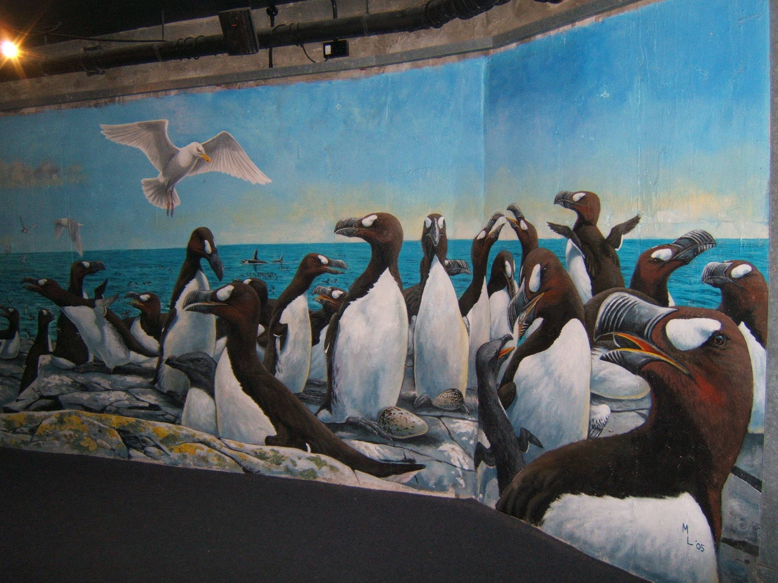 Great Auk mural