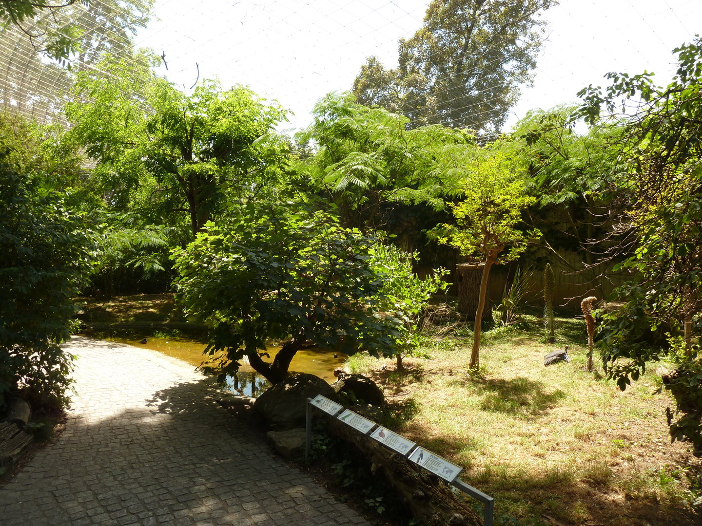 Great Aviary - Africa aviary