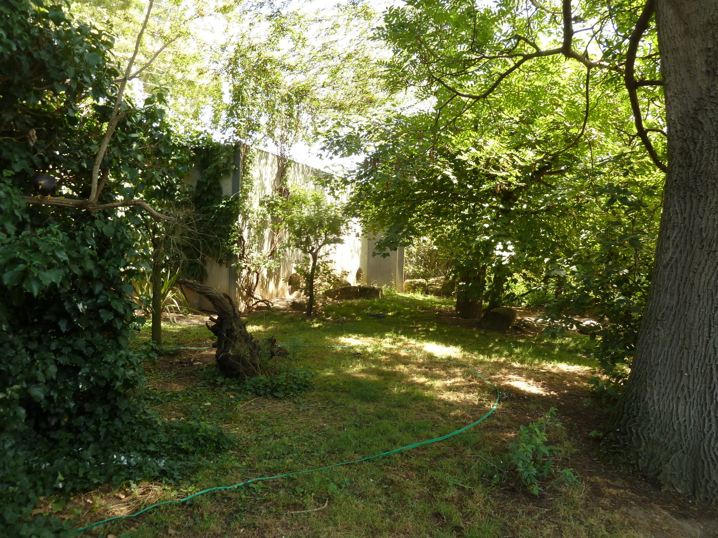 Great Aviary - Africa aviary