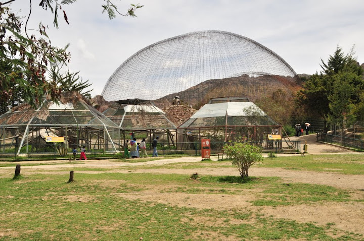Great Aviary and complex for Nasua nasua and Eira barbara