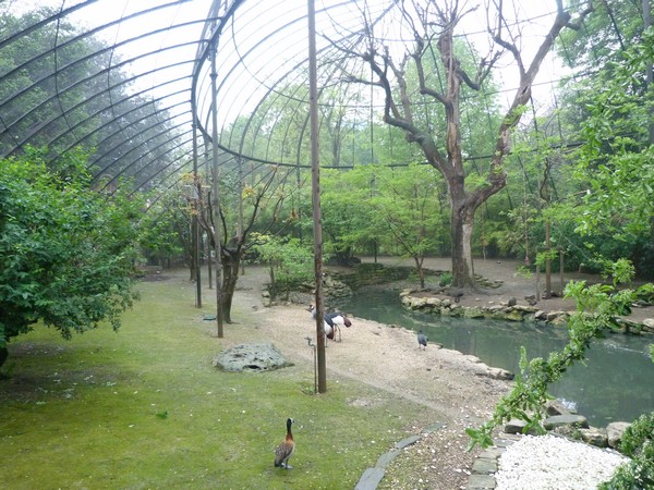 Great aviary interior