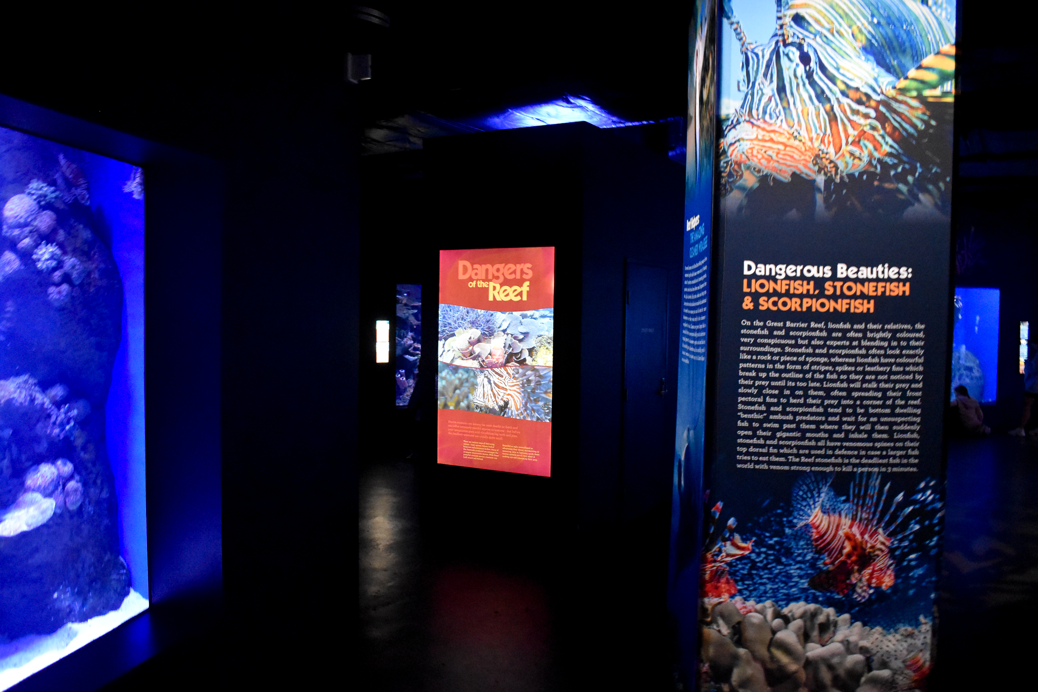 Great Barrier Reef area