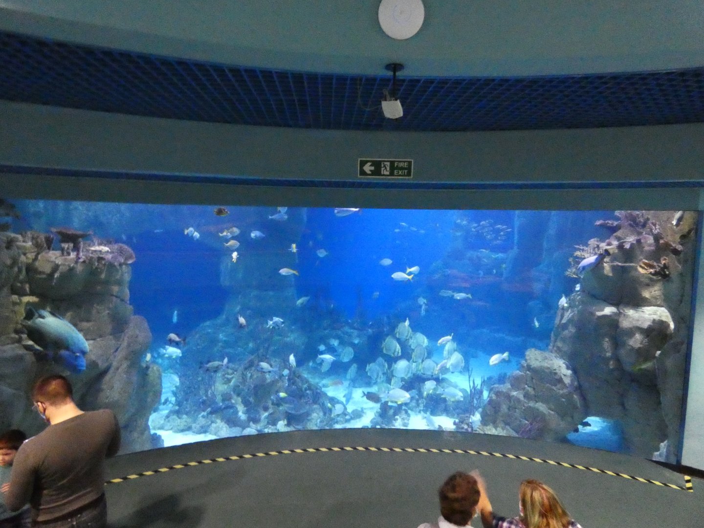 Great Barrier Reef exhibit