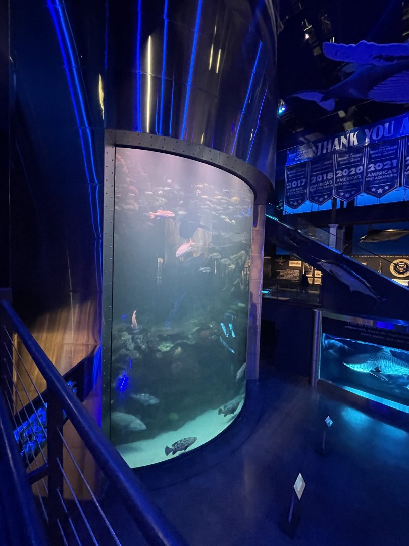 Great Barrier Reef Tank