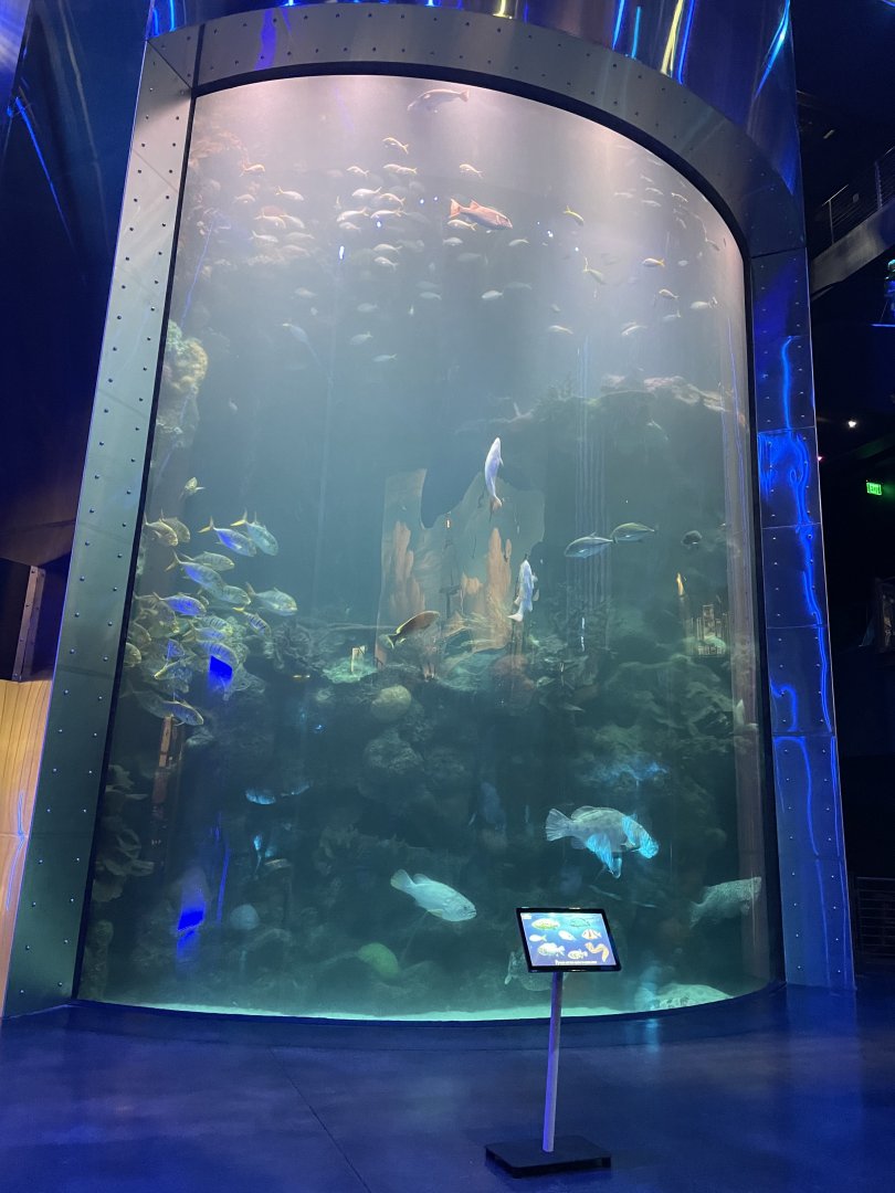 Great Barrier Reef Tank