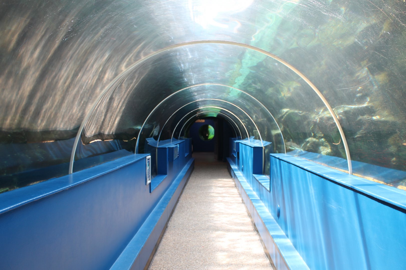 Great Barrier Reef Tunnel