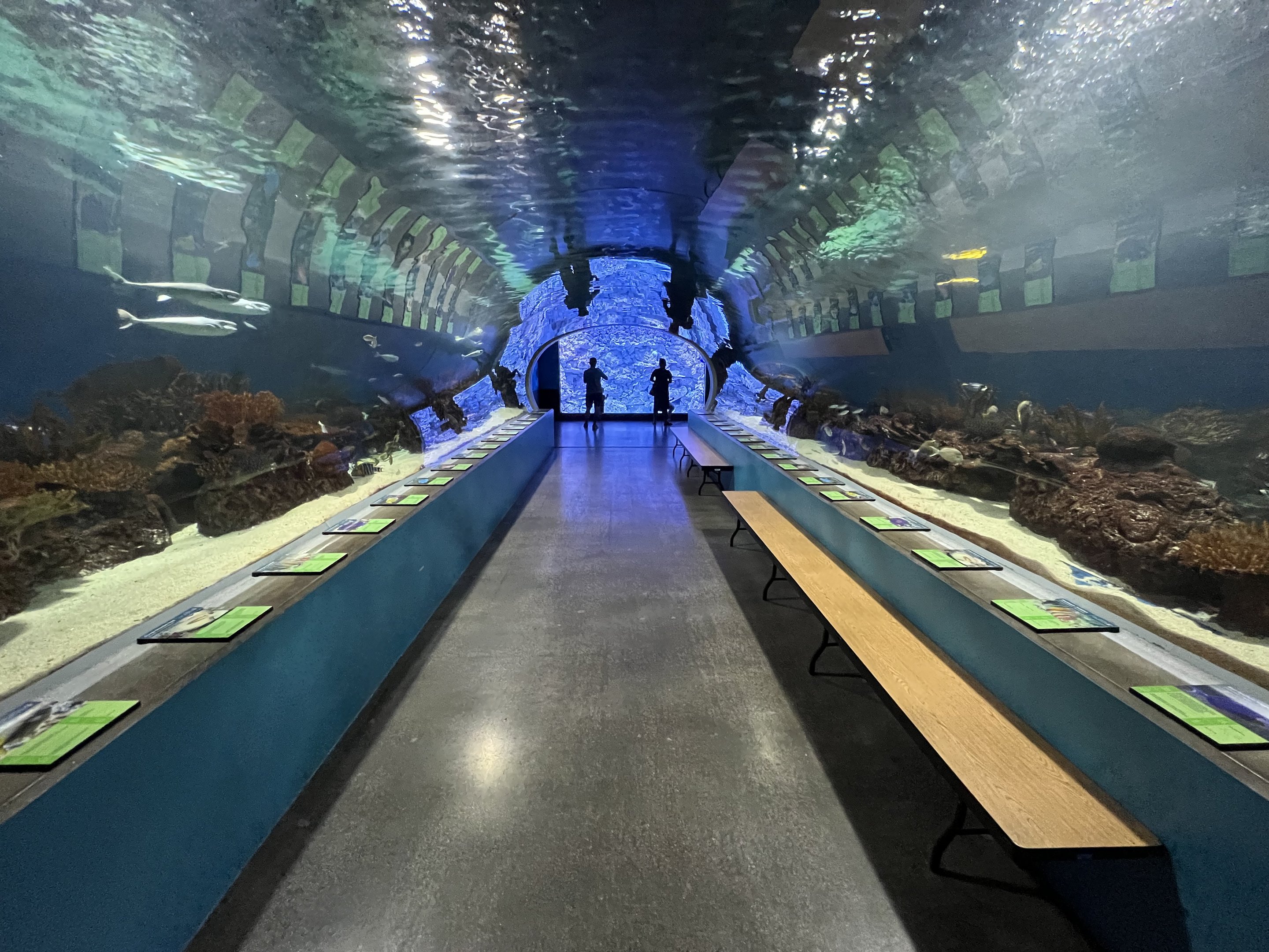 Great Barrier Reef Tunnel