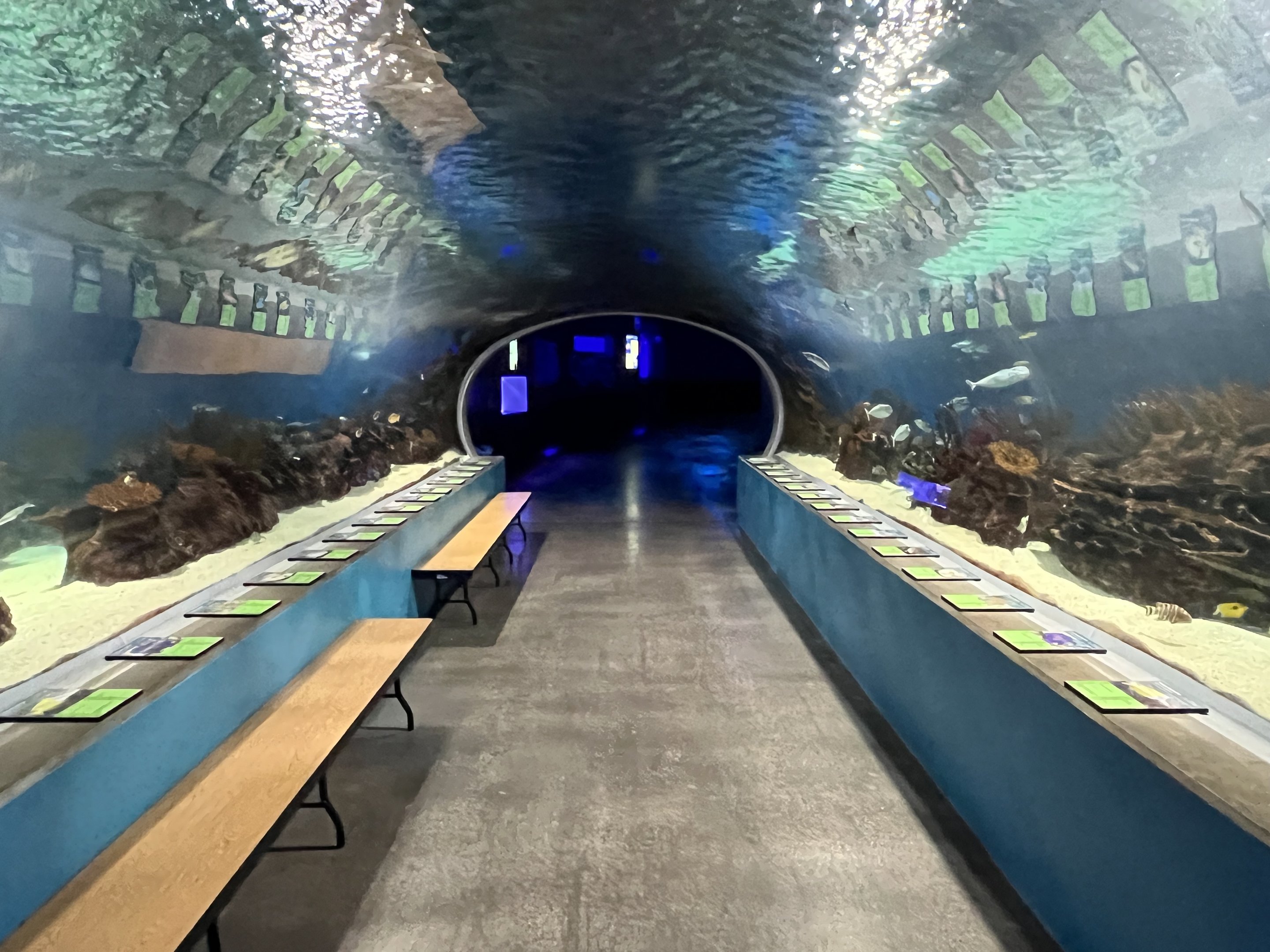 Great Barrier Reef Tunnel