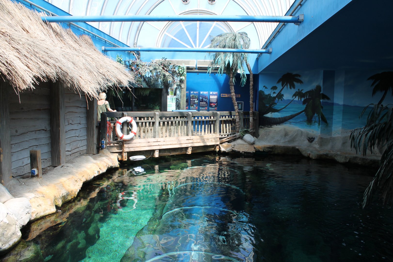 Great Barrier Reef View