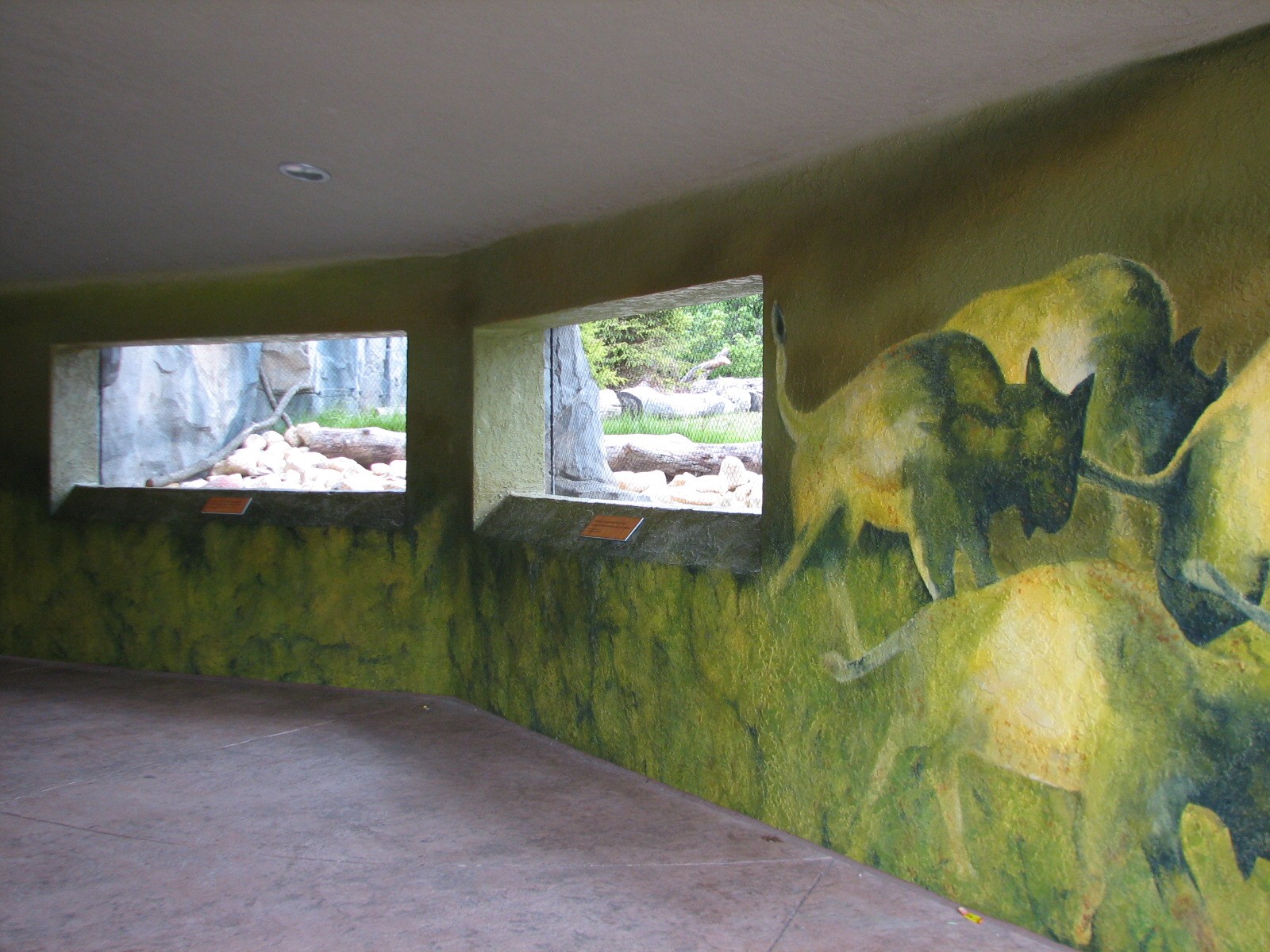 Great Bear Wilderness - American Bison Exhibit - Tunnel Viewing Area