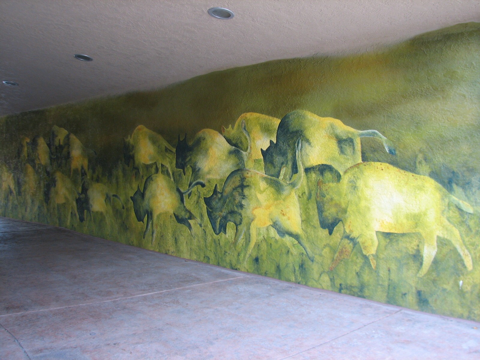 Great Bear Wilderness - American Bison Exhibit - Tunnel