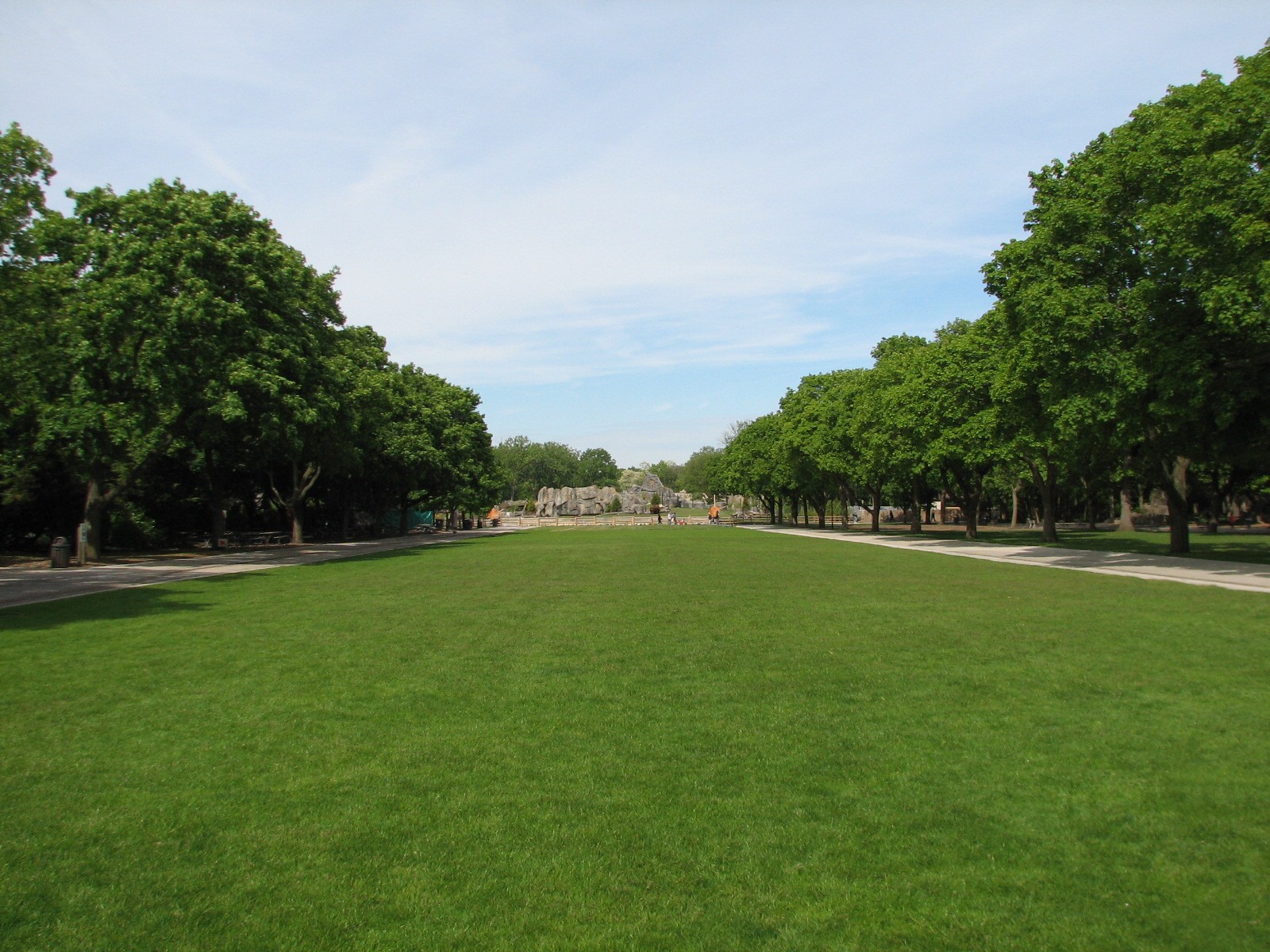Great Bear Wilderness - American Bison Exhibit viewed from the formal axis