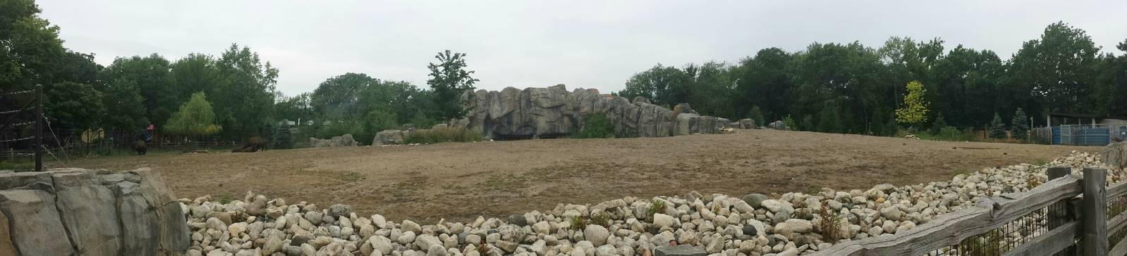 Great Bear Wilderness - American Bison Exhibit