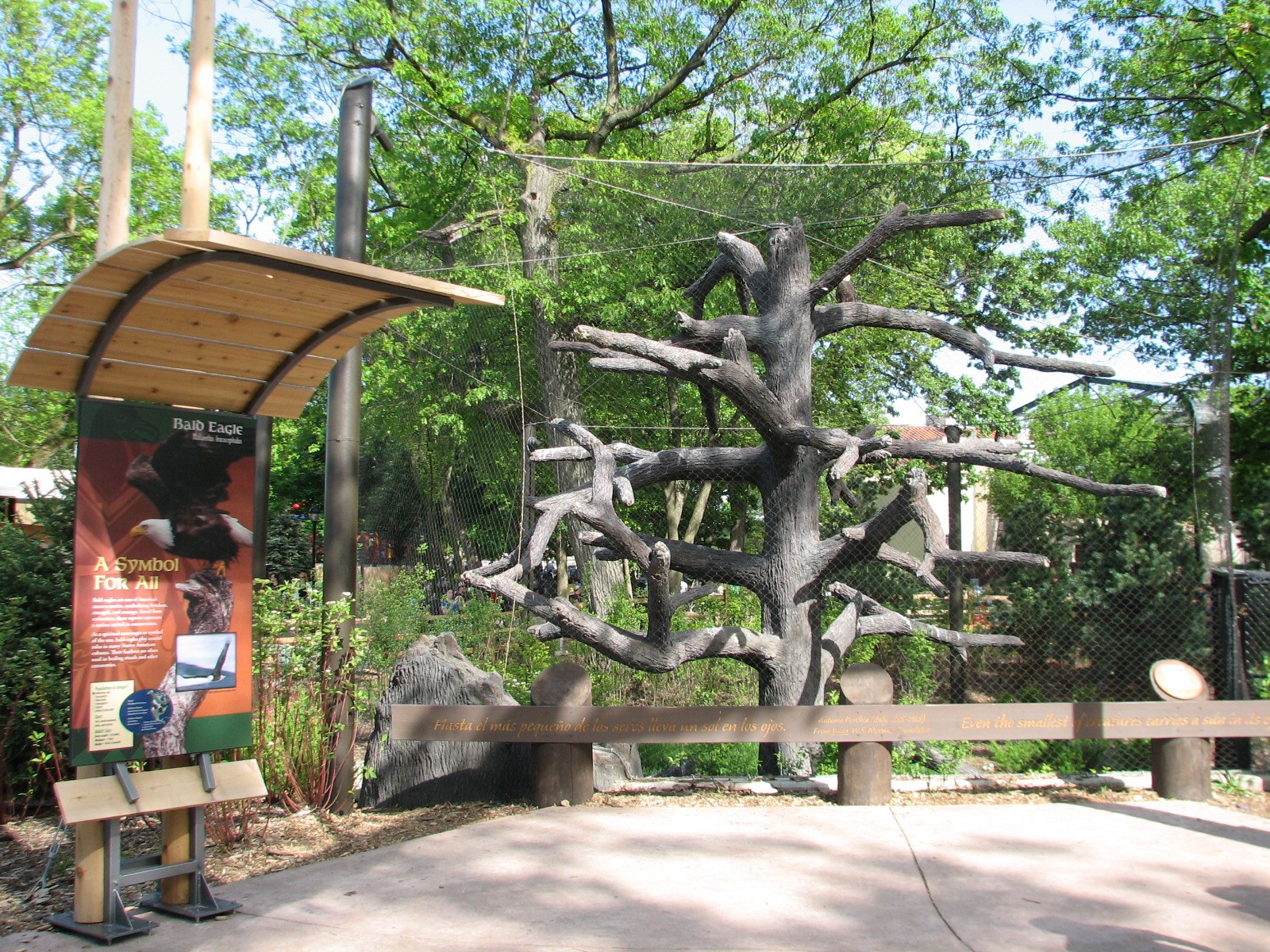 Great Bear Wilderness - Bald Eagle Exhibit