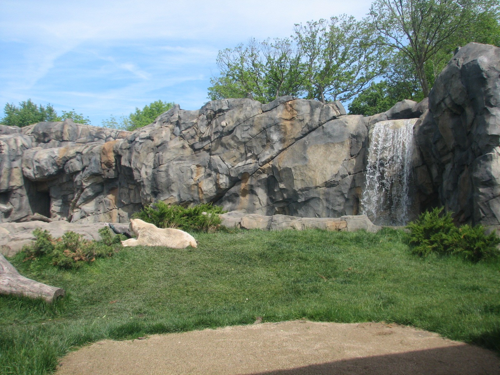 Great Bear Wilderness - Classroom - View of Second Polar Bear Exhibit