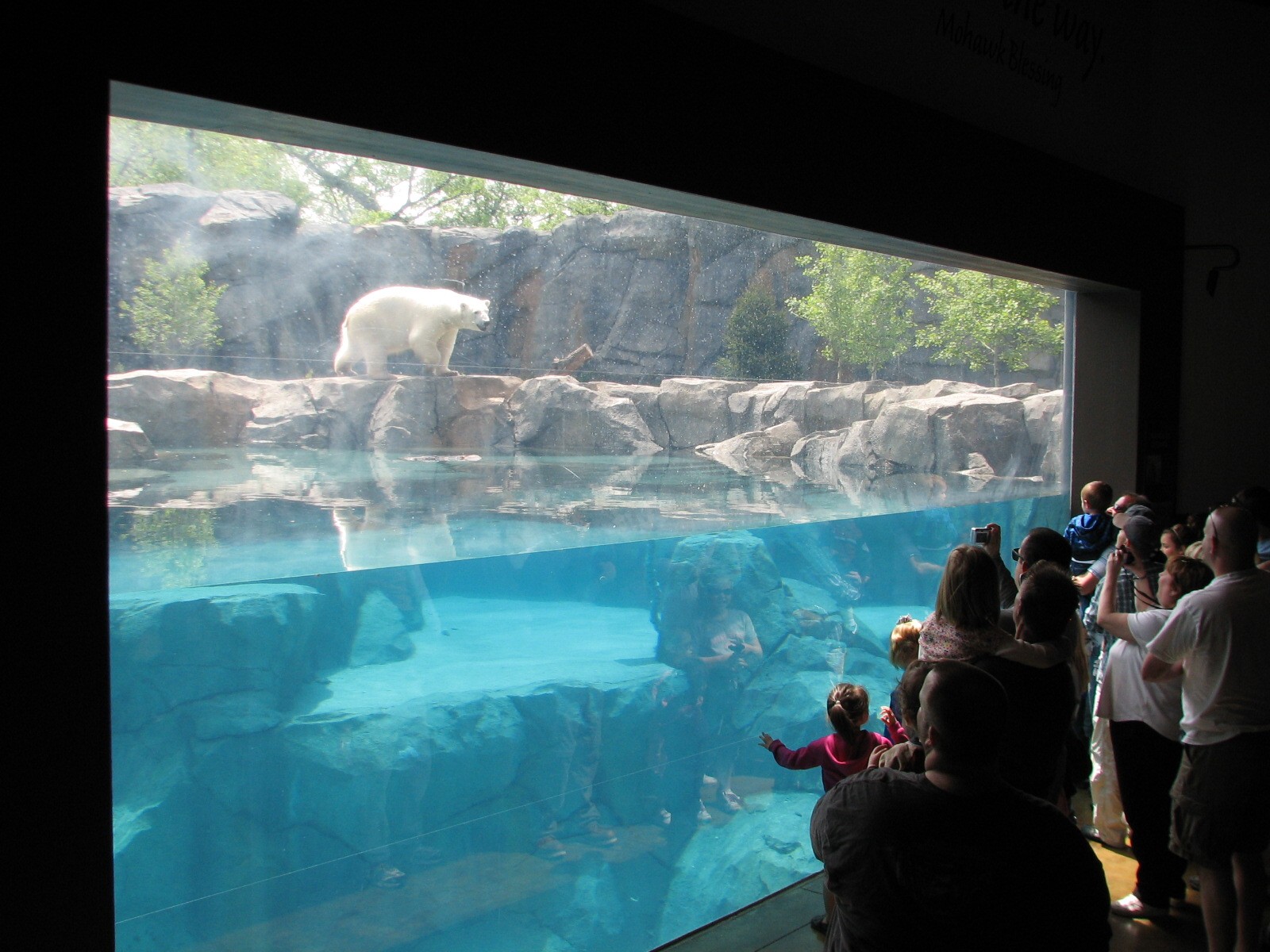 Great Bear Wilderness - First Polar Bear Exhibit Indoor Underwater Viewing