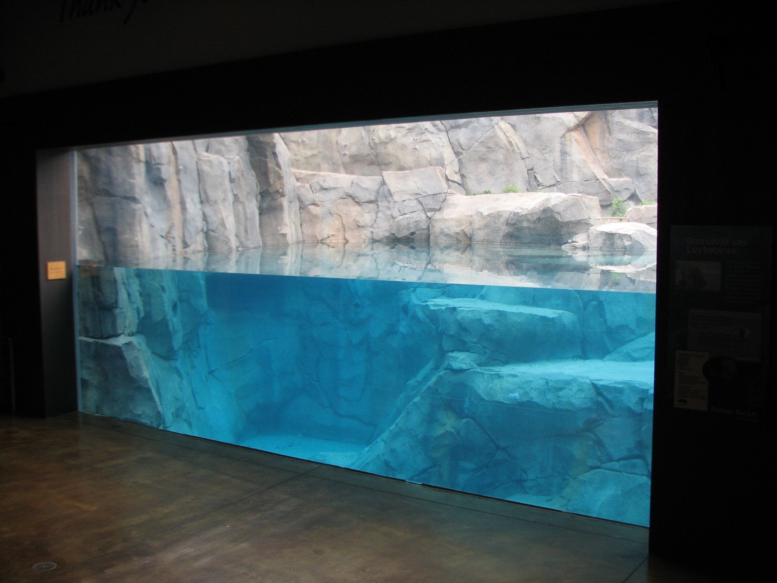 Great Bear Wilderness - First Polar Bear Exhibit Indoor Underwater Viewing