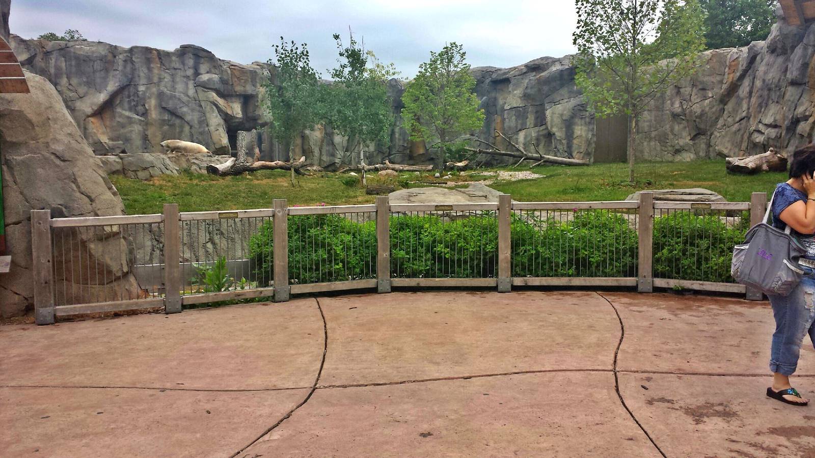 Great Bear Wilderness - First Polar Bear Exhibit