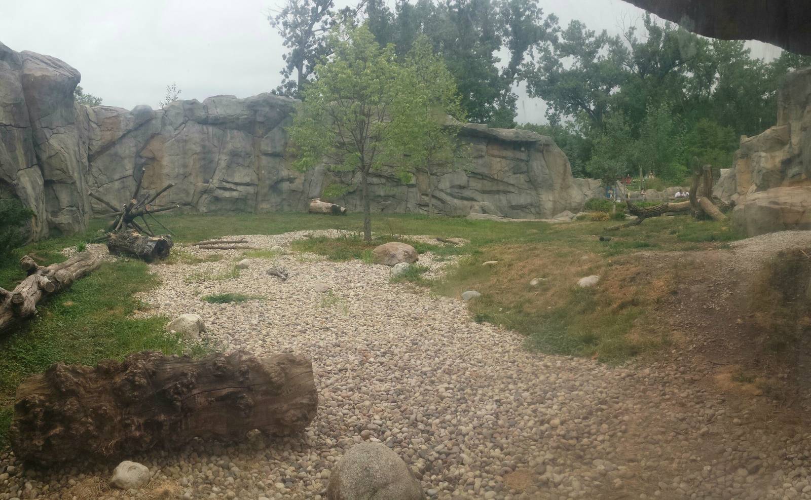 Great Bear Wilderness - First Polar Bear Exhibit