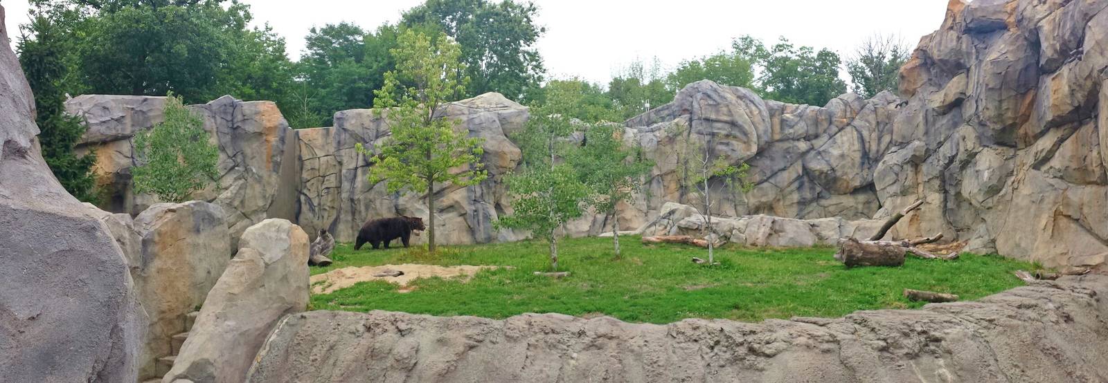 Great Bear Wilderness - Grizzly Bear Exhibit