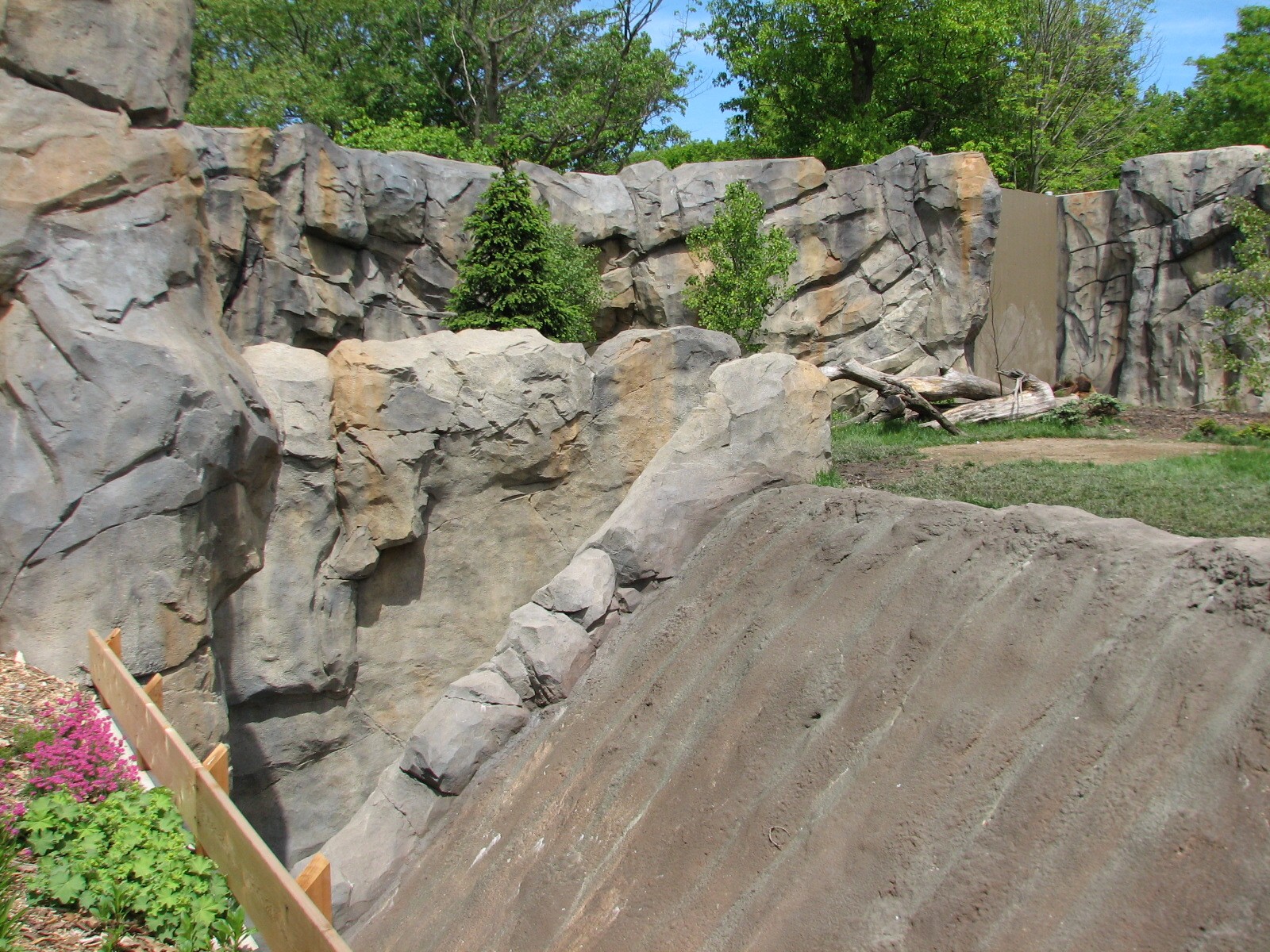 Great Bear Wilderness - Grizzly Bear Exhibit