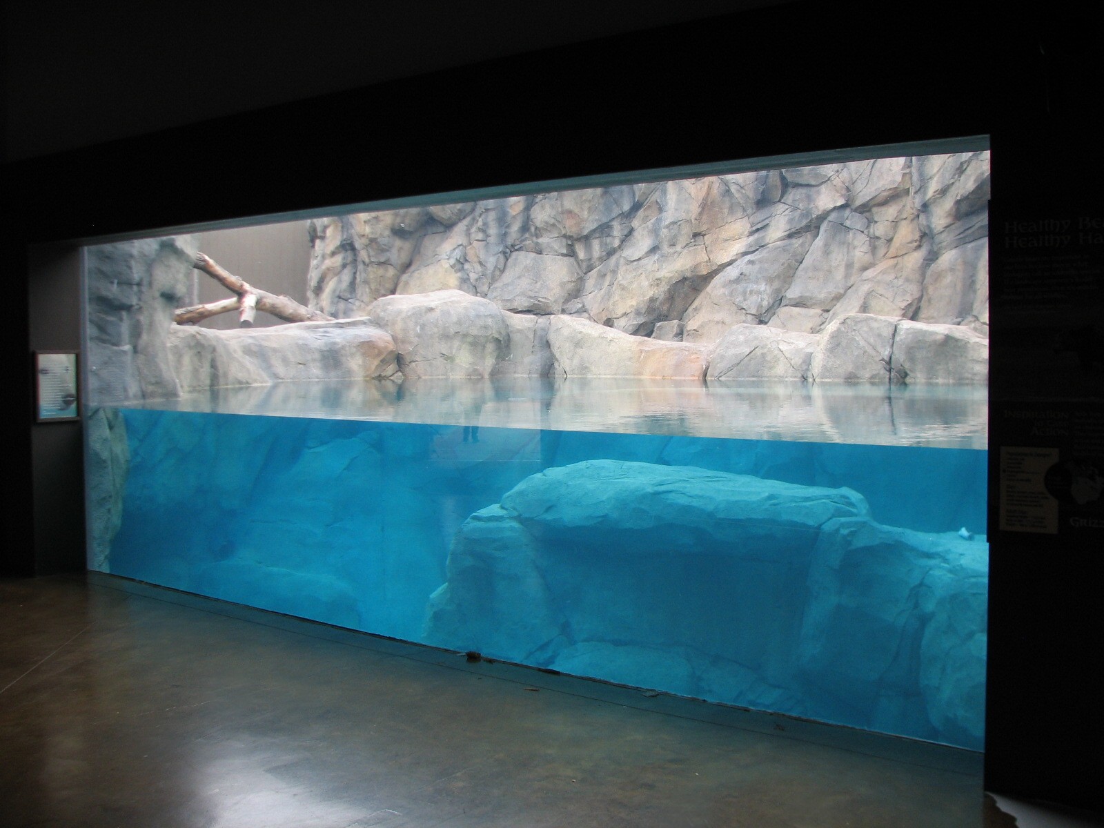 Great Bear Wilderness - Grizzly Bear Indoor Underwater Viewing Area