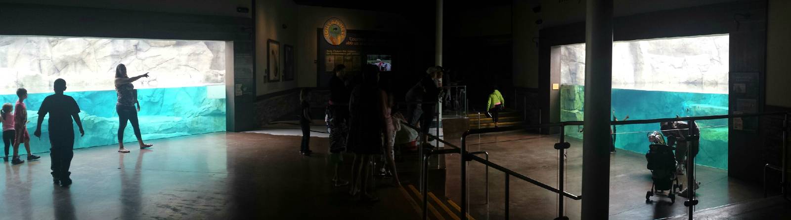 Great Bear Wilderness - Grizzly + Polar Bear Underwater Viewings