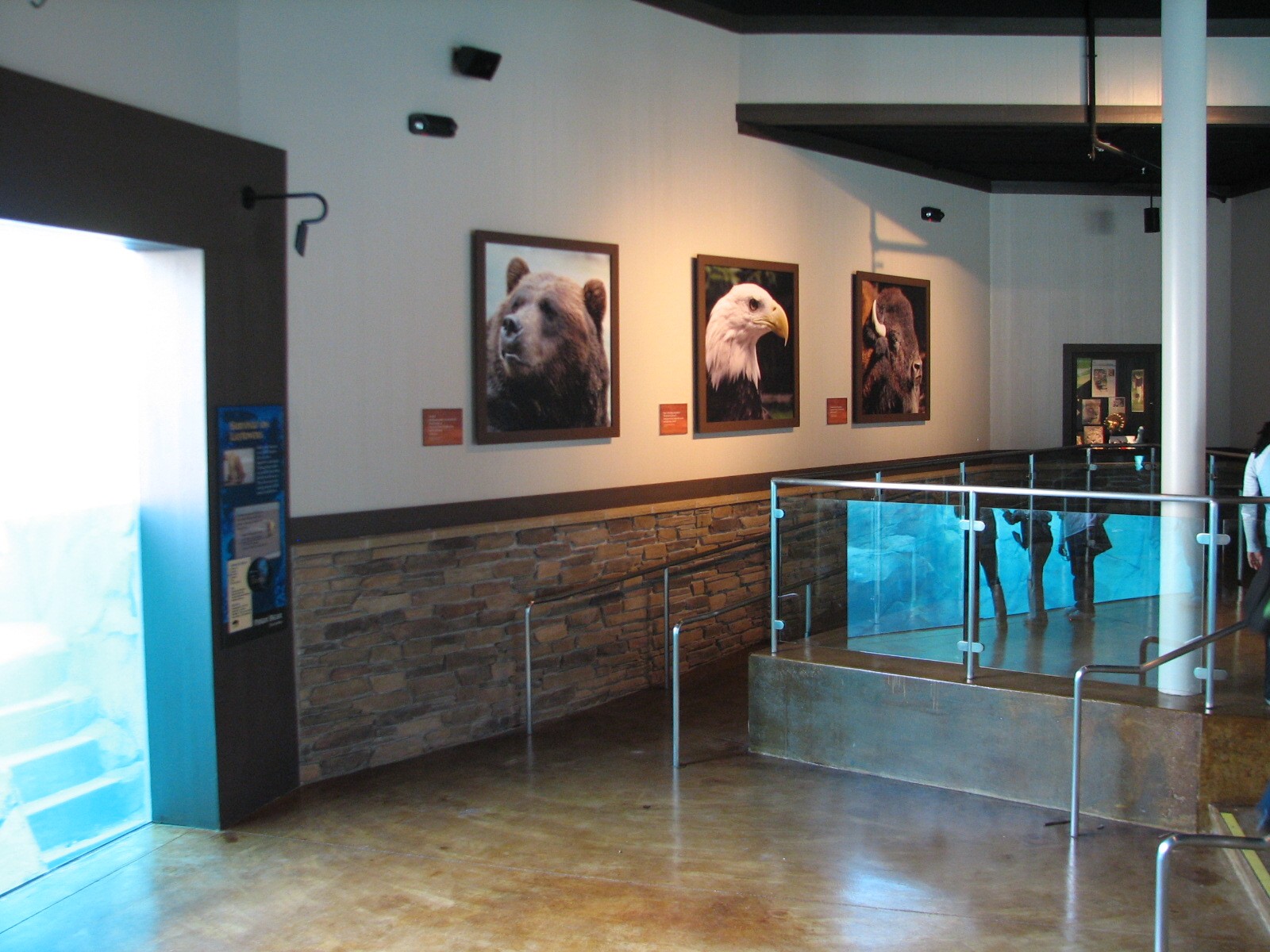 Great Bear Wilderness - Indoor Viewing Area