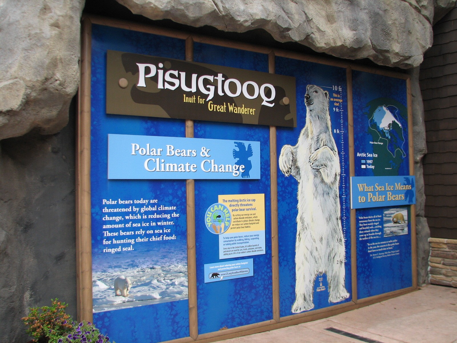 Great Bear Wilderness - Polar Bear Graphic